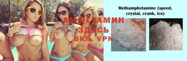 прущие грибы Богданович