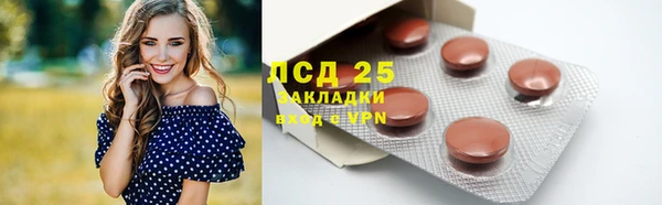прущие грибы Богданович