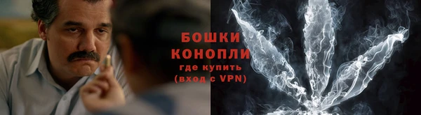 стаф Богородск