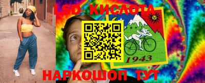 тгк Владимир