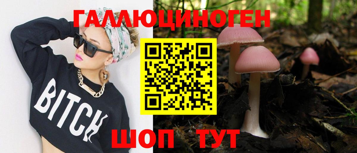 Вичуга  Псилоцибиновые грибы Cubensis  Псилоцибиновые грибы GOLDEN TEACHER  Вход с VPN 