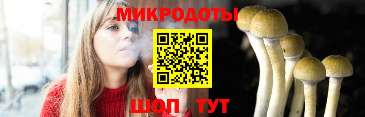 Псилоцибиновые грибы MAGIC MUSHROOMS Вичуга